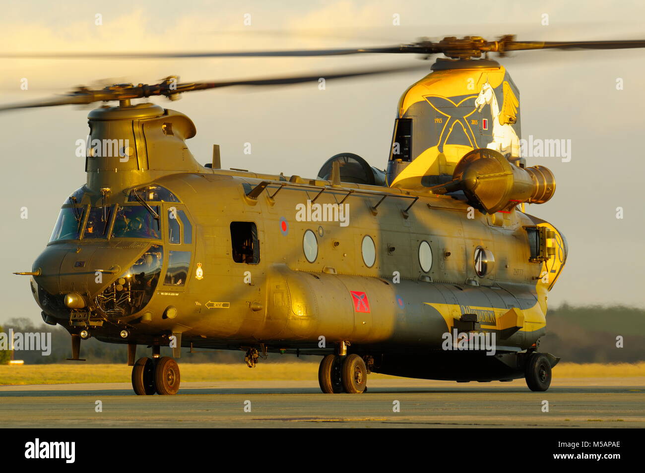 Boeing Vertol CH-47, Chinook Helicopter, RAF Odiham, Banque D'Images