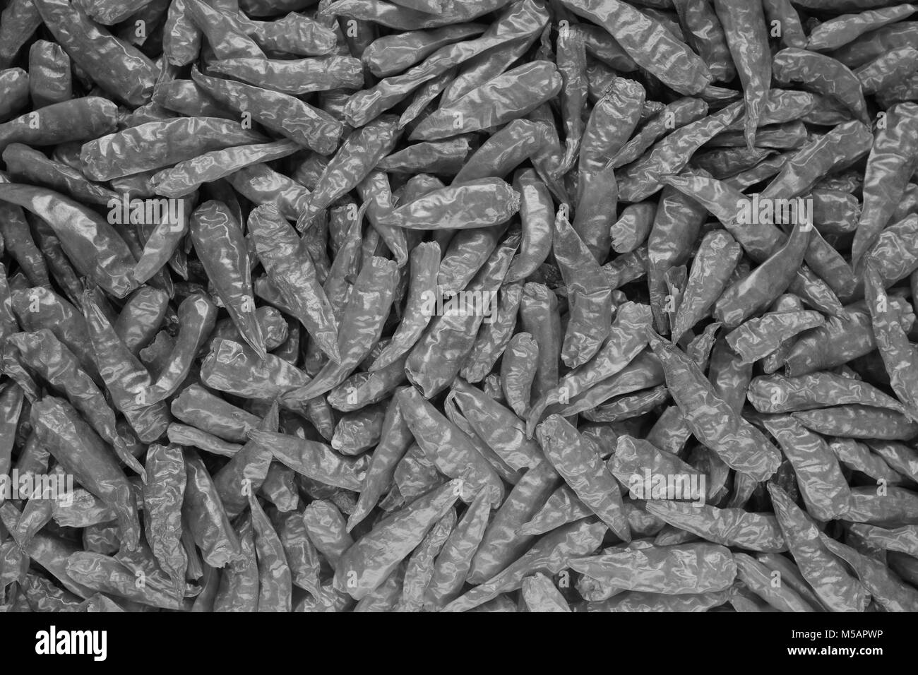 Piments séchés birds eye épicé comme un abstract background texture - traitement monochrome Banque D'Images