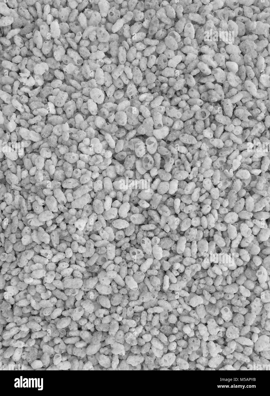 Riz Crisped céréales petit déjeuner comme un abstract background texture - traitement monochrome Banque D'Images
