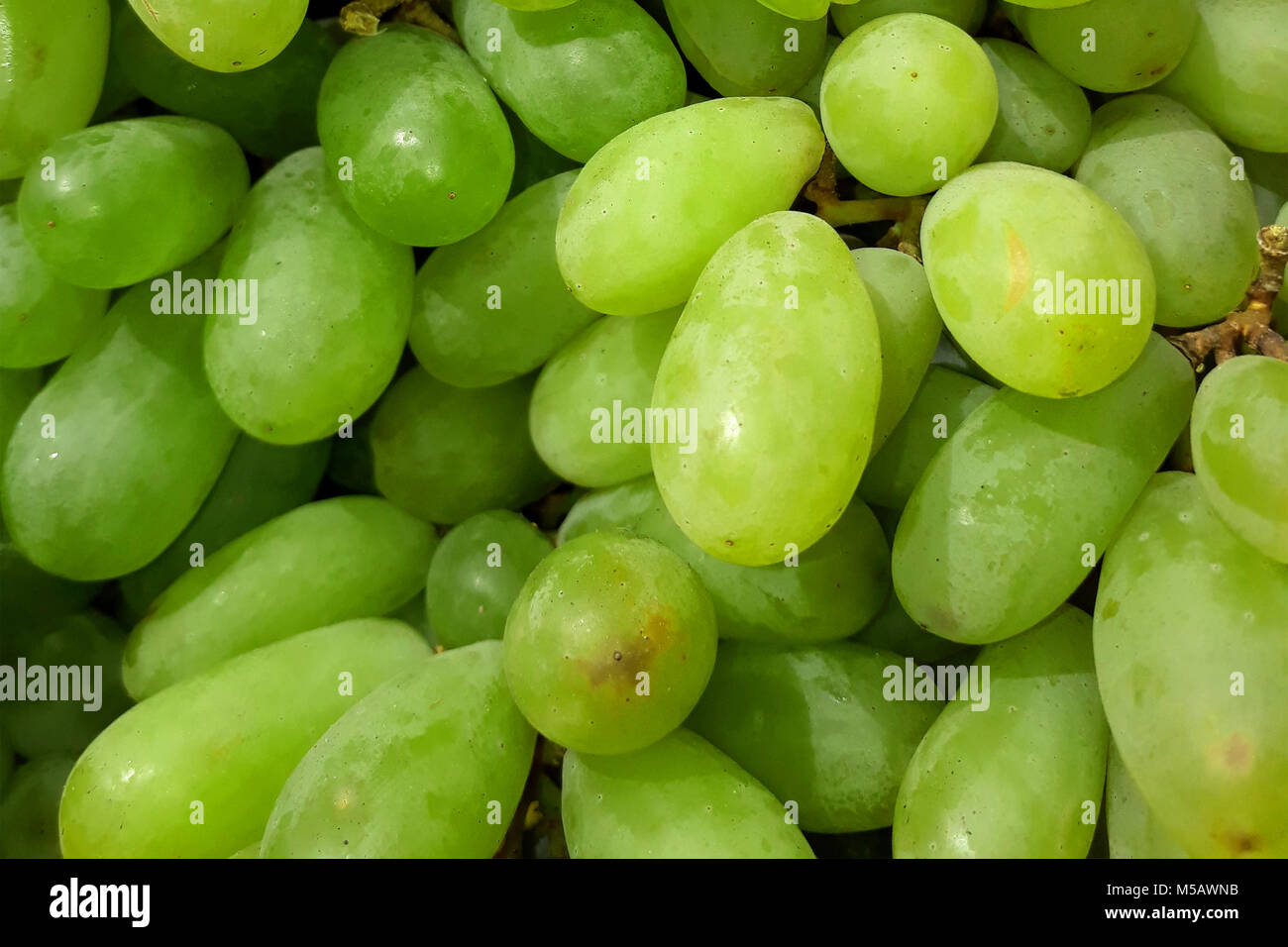 Grappes de raisin vert frais sur le comptoir au marché Banque D'Images