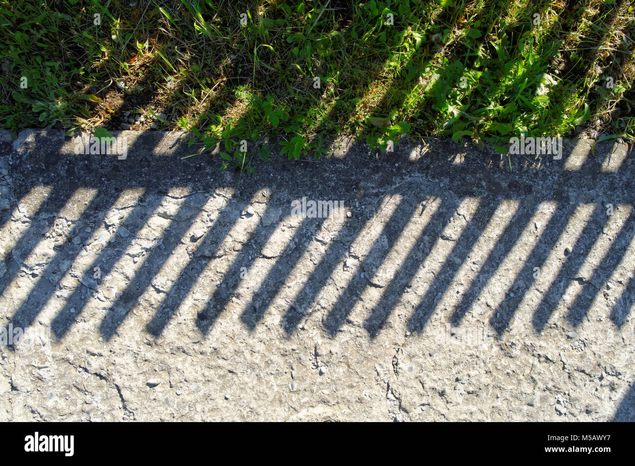 Ombre de la clôture en bois le long de la route en béton pays Banque D'Images