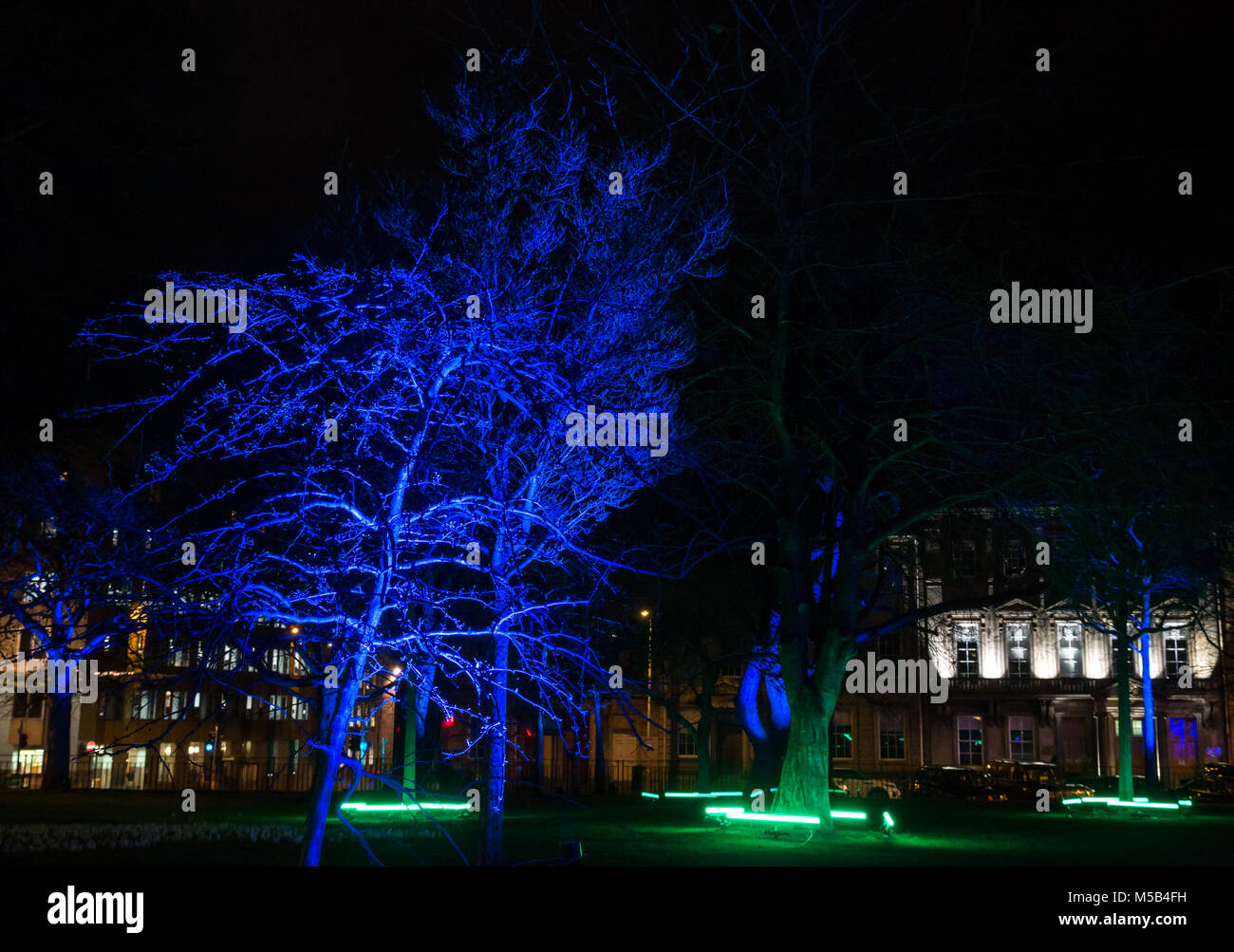 Edinburgh, Ecosse, Royaume-Uni, le 21 février 2018. Nuit lumière s'affiche dans le centre d'Édimbourg Édimbourg "Lumens", créé et produit par NL Productions pour la ville d'Édimbourg. Les écrans sont en trois endroits du centre-ville. À St Andrew Square, Jardins 'Serenity', chaque partie du jardin dont les arbres, d'eau, des arbustes sont éclairées à l'écoute de la musique apaisante. Un arbuste illuminé avec éclairage violet Banque D'Images