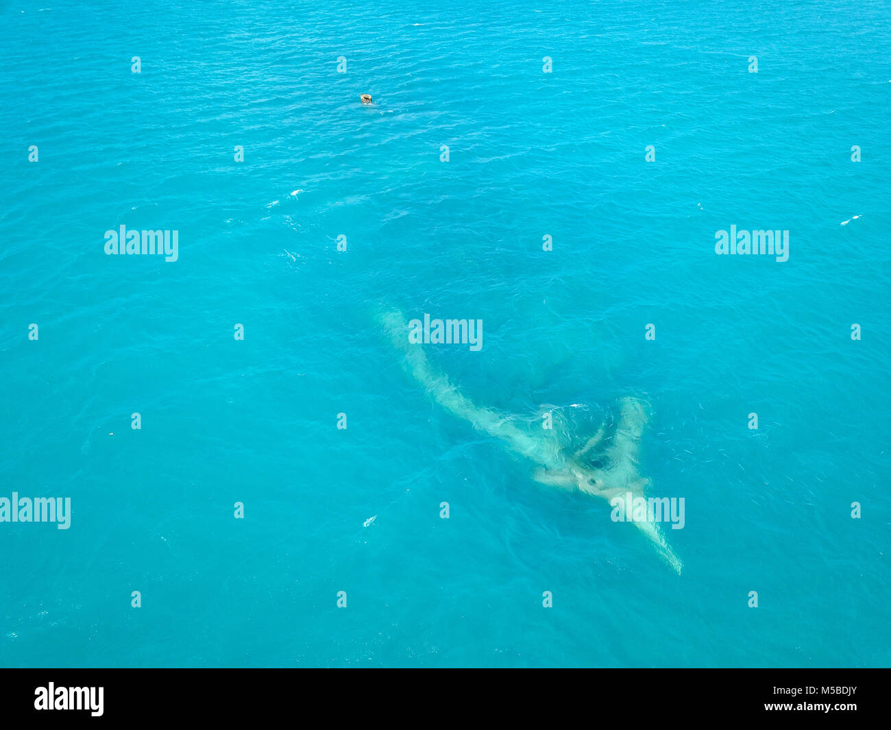 Naufrage de l'Andes, un 1874 à trois-mâts barque en acier coulé en 1904, Deep Bay, Antigua Banque D'Images