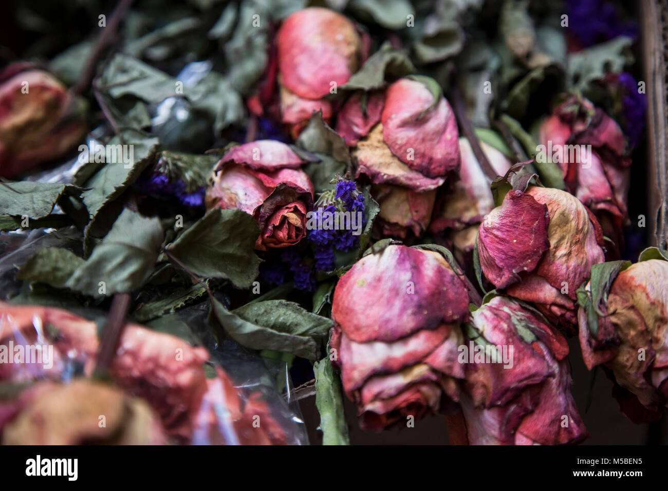 Les fleurs mortes sont utilisés comme un accessoire dans l'Ashton Michael F/W18 Merci Fashion Show Banque D'Images