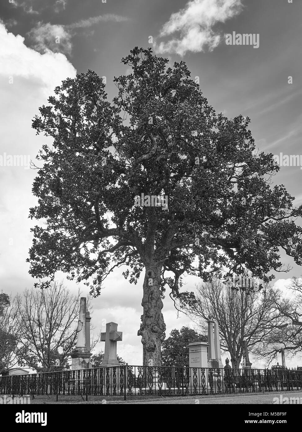Vieux cimetière Oakwood avec stèles, pierres tombales et monuments créé au début des années 1800, pour toutes les religions à Montgomery, Alabama, USA. Banque D'Images