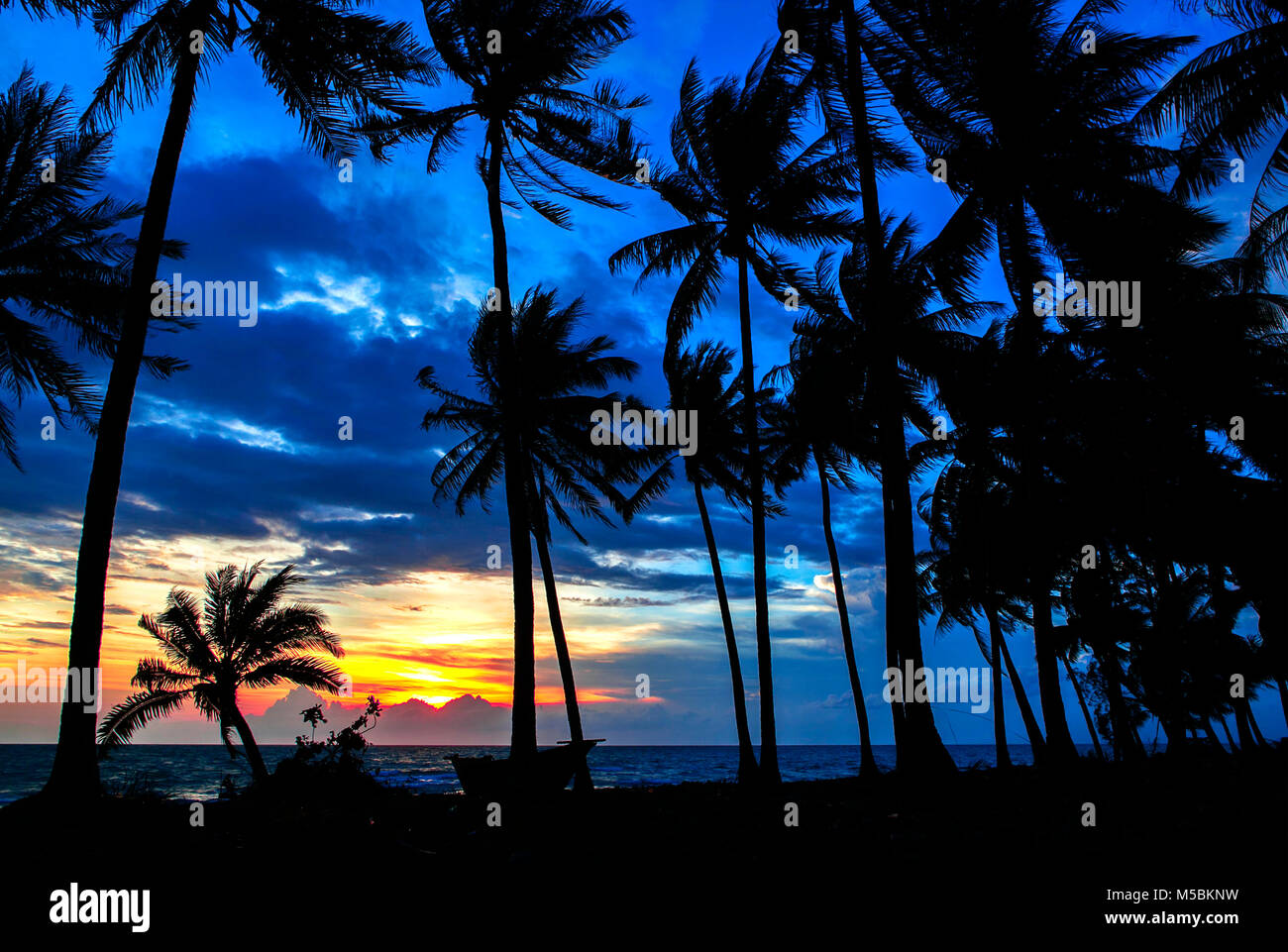 Coucher du soleil, la silhouette de cocotier sur Trường beach, Long Beach. L'île de Phu Quoc, Vietnam, Kien Giang. Banque D'Images