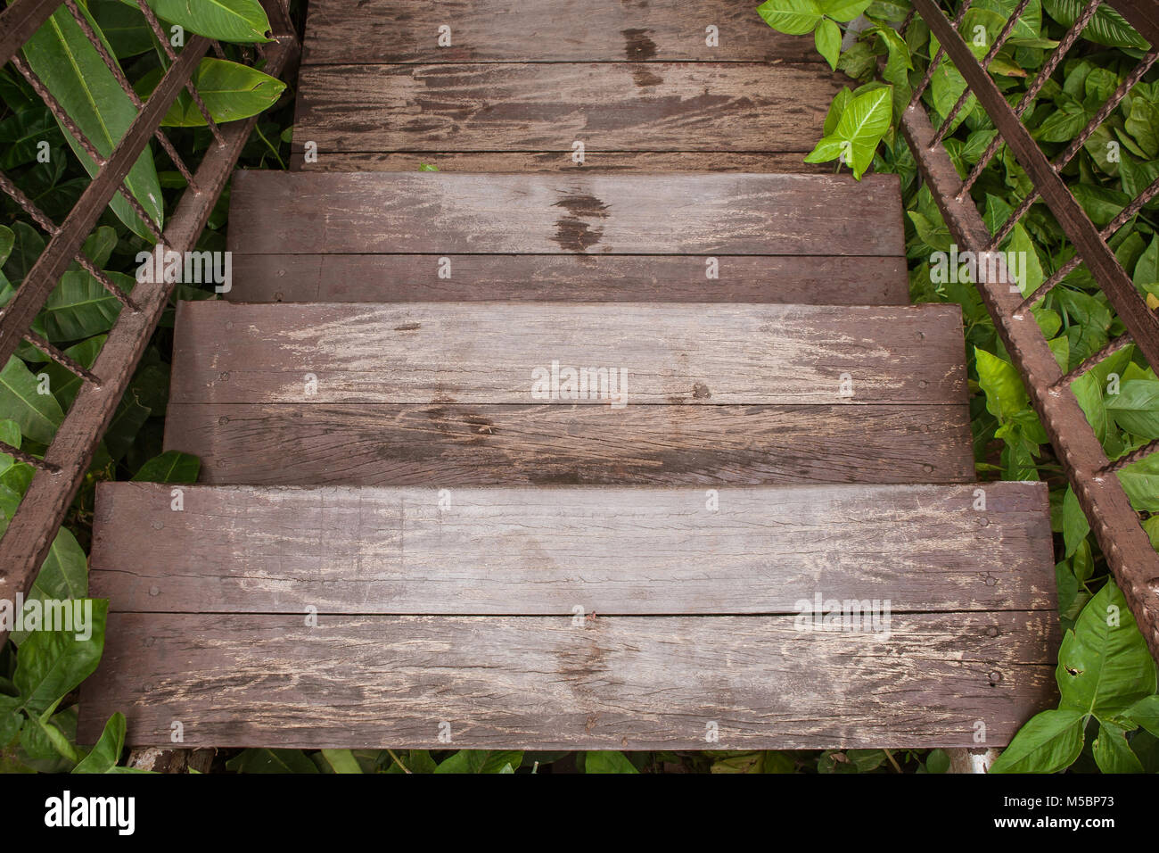 Vue d'en haut des escaliers ou passerelle descendre à jardin extérieur entouré d'arbres verts. Banque D'Images