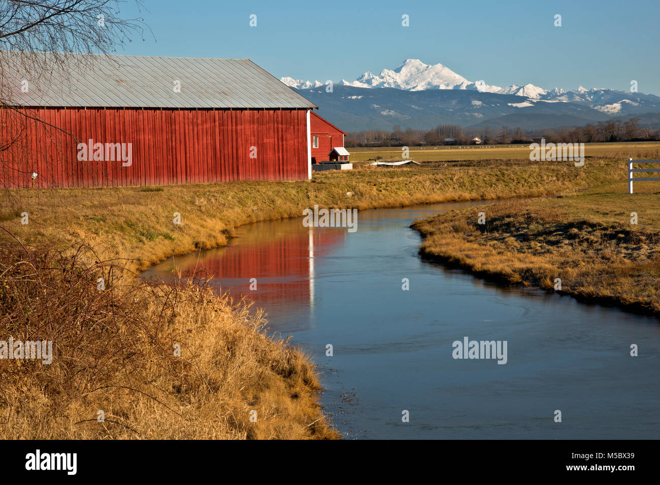 WA13539-00...WASHINGTON - ferme sur l'île Fox Hall à côté de Slough et une partie de la vallée de la Skagit Delta avec le mont Baker dans la distance. Banque D'Images