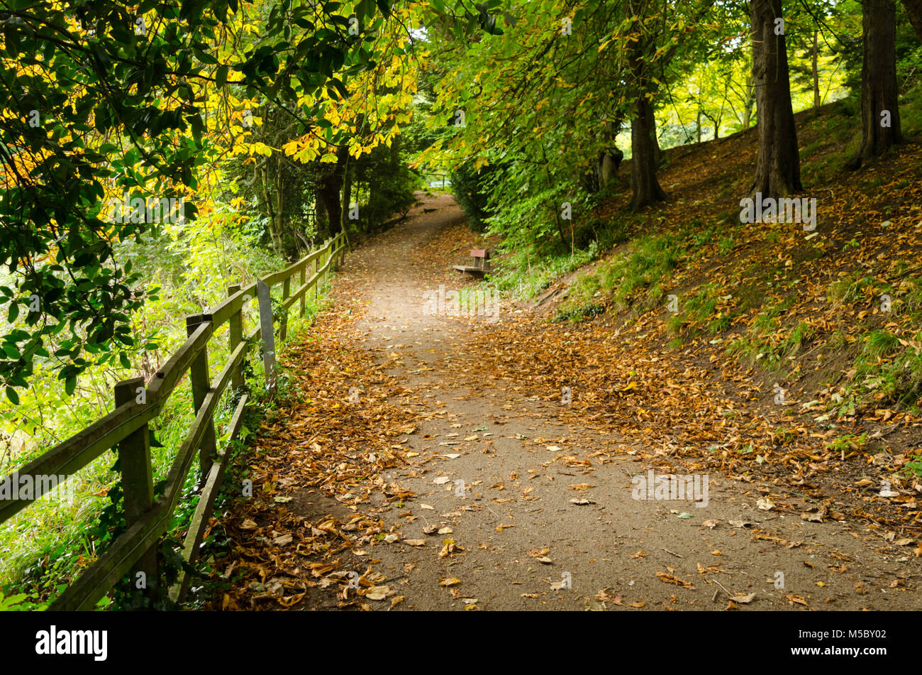 Une passerelle couverte de feuilles d'automne à Saltburn Valley Gardens, Sawai madhopur Banque D'Images