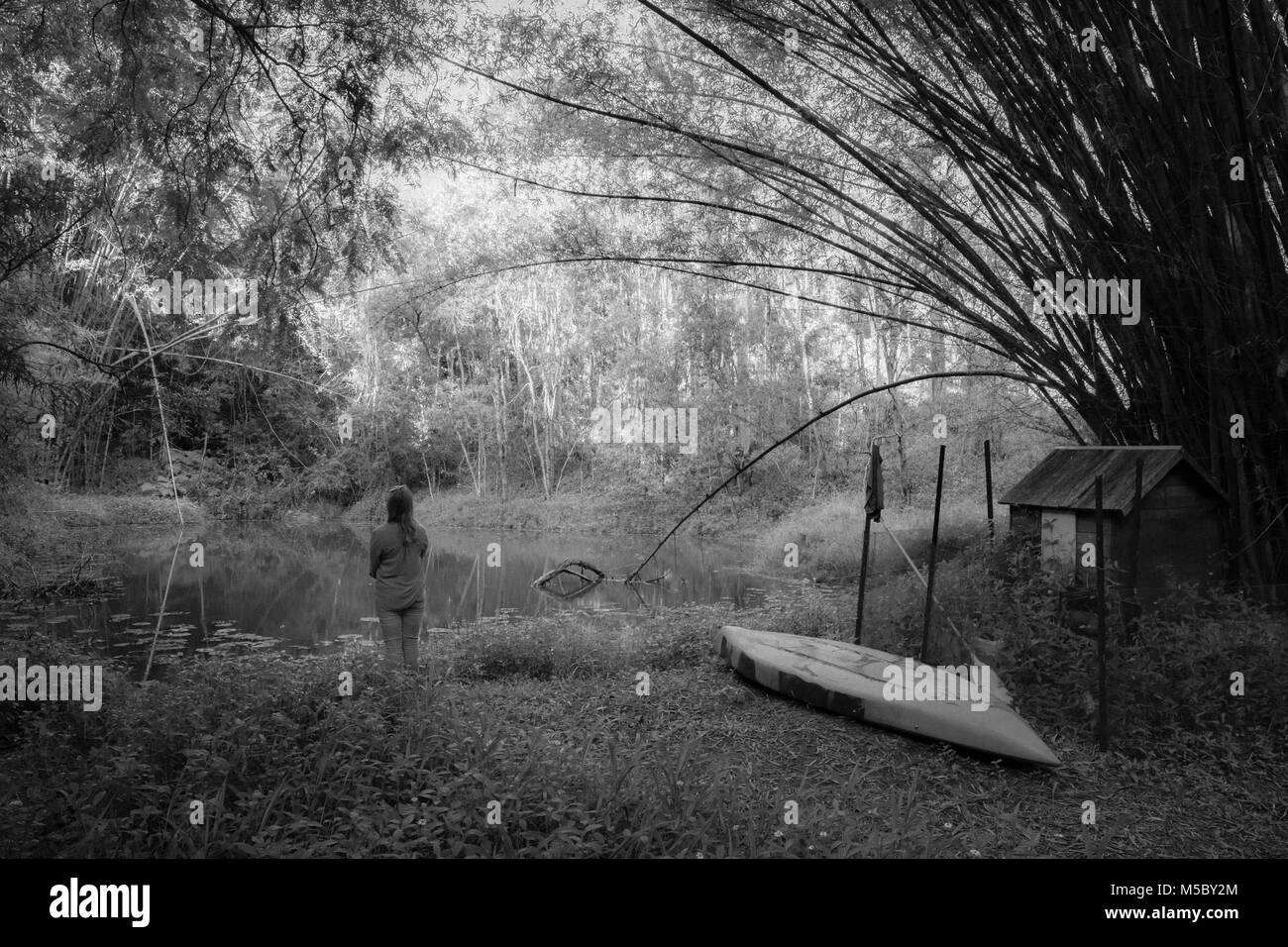 Noir et blanc photo du lac dans la forêt - Queensland, Australie Banque D'Images