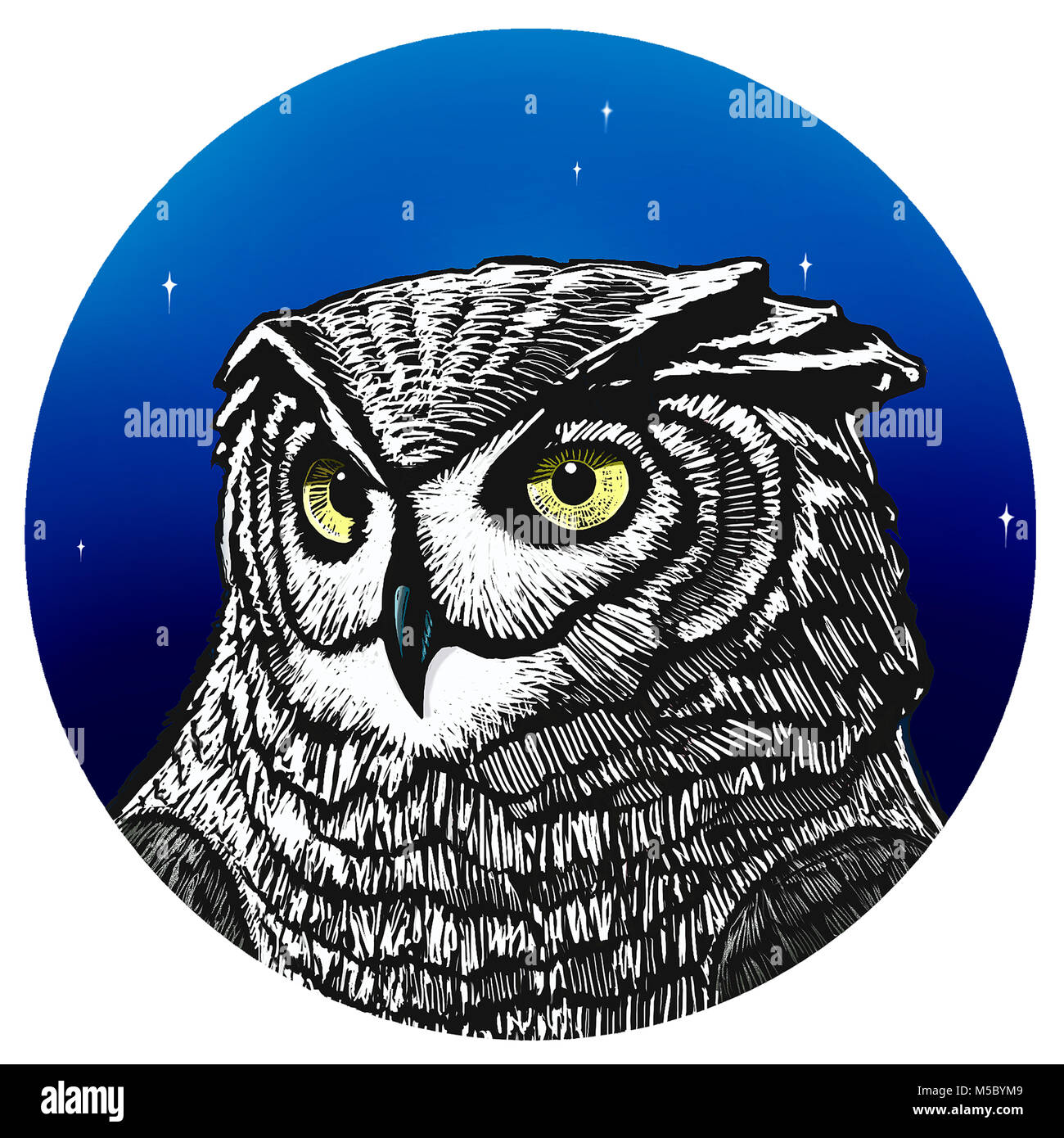 Owl illustration avec un ciel bleu. Illustration chouette d'étoiles. Banque D'Images
