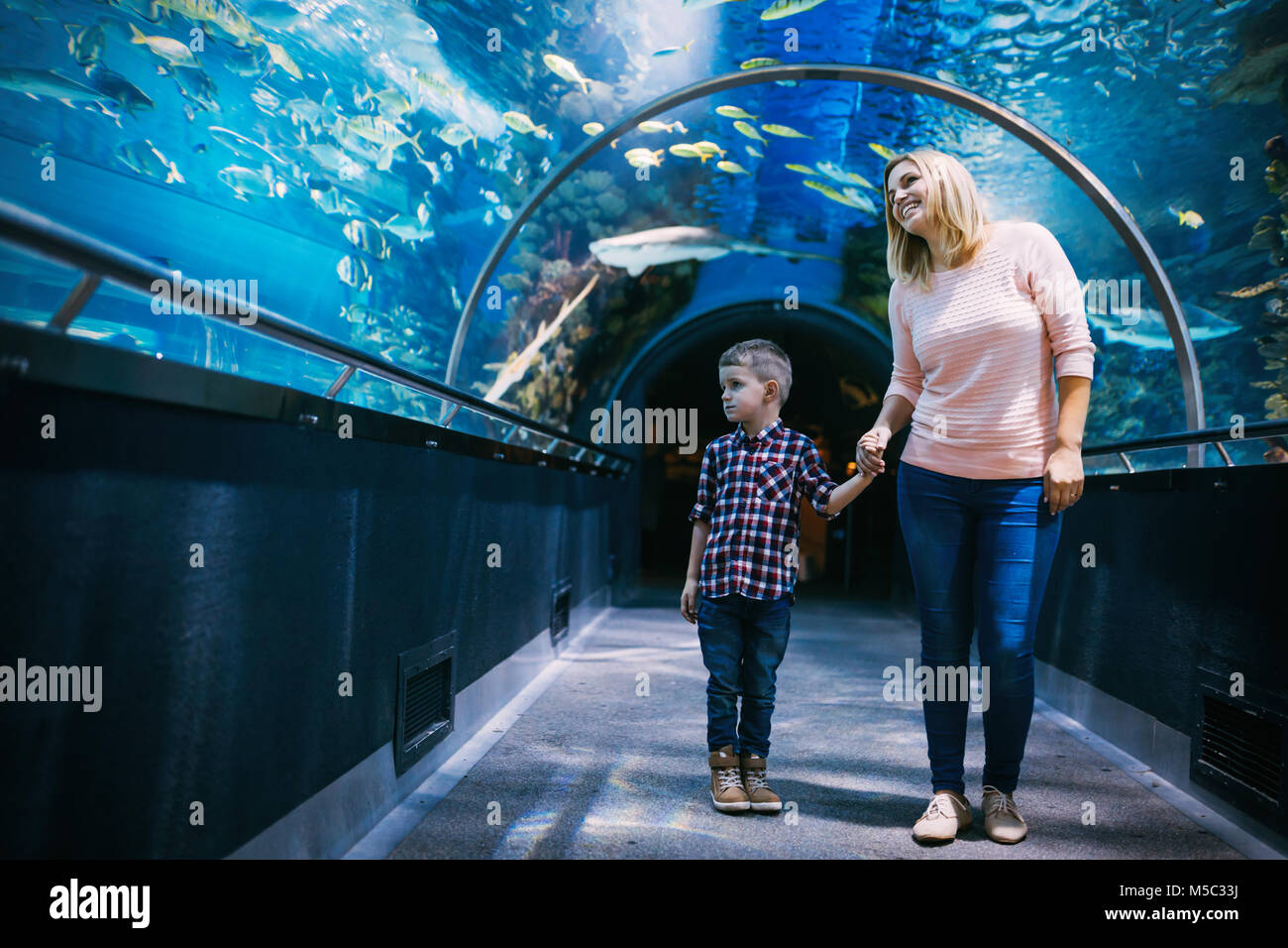 Mère et son enfant à regarder la vie de la mer Banque D'Images