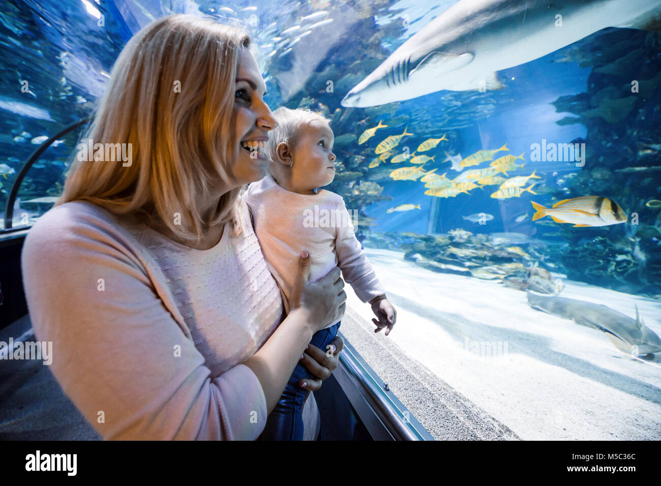 Mère et son enfant à regarder la vie de la mer Banque D'Images