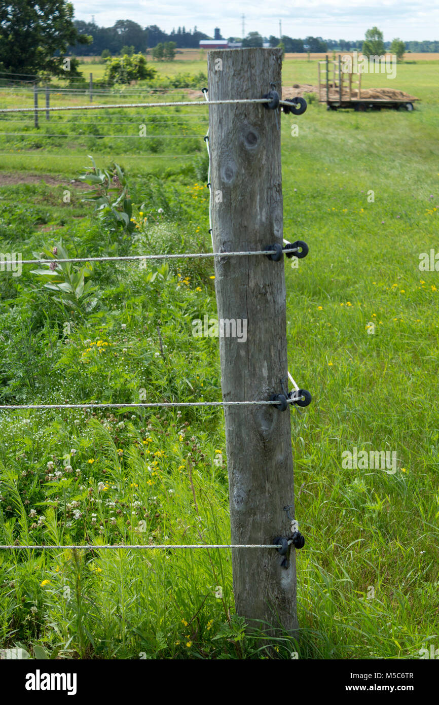 Close up of post français avec des fils électriques pour garder le bétail dans ou hors des champs Banque D'Images