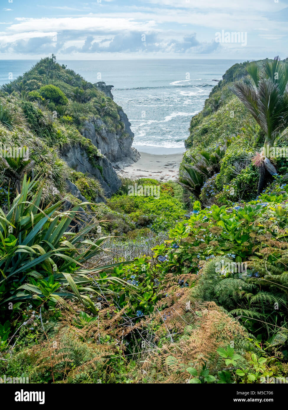 Hidden Cove dans la forêt tropicale le long de la côte ouest de l'île Sud de la Nouvelle-Zélande Banque D'Images Hidden Cove dans la forêt tropicale le long de la côte ouest de l'île Sud de la Nouvelle-Zélande Banque D'Images