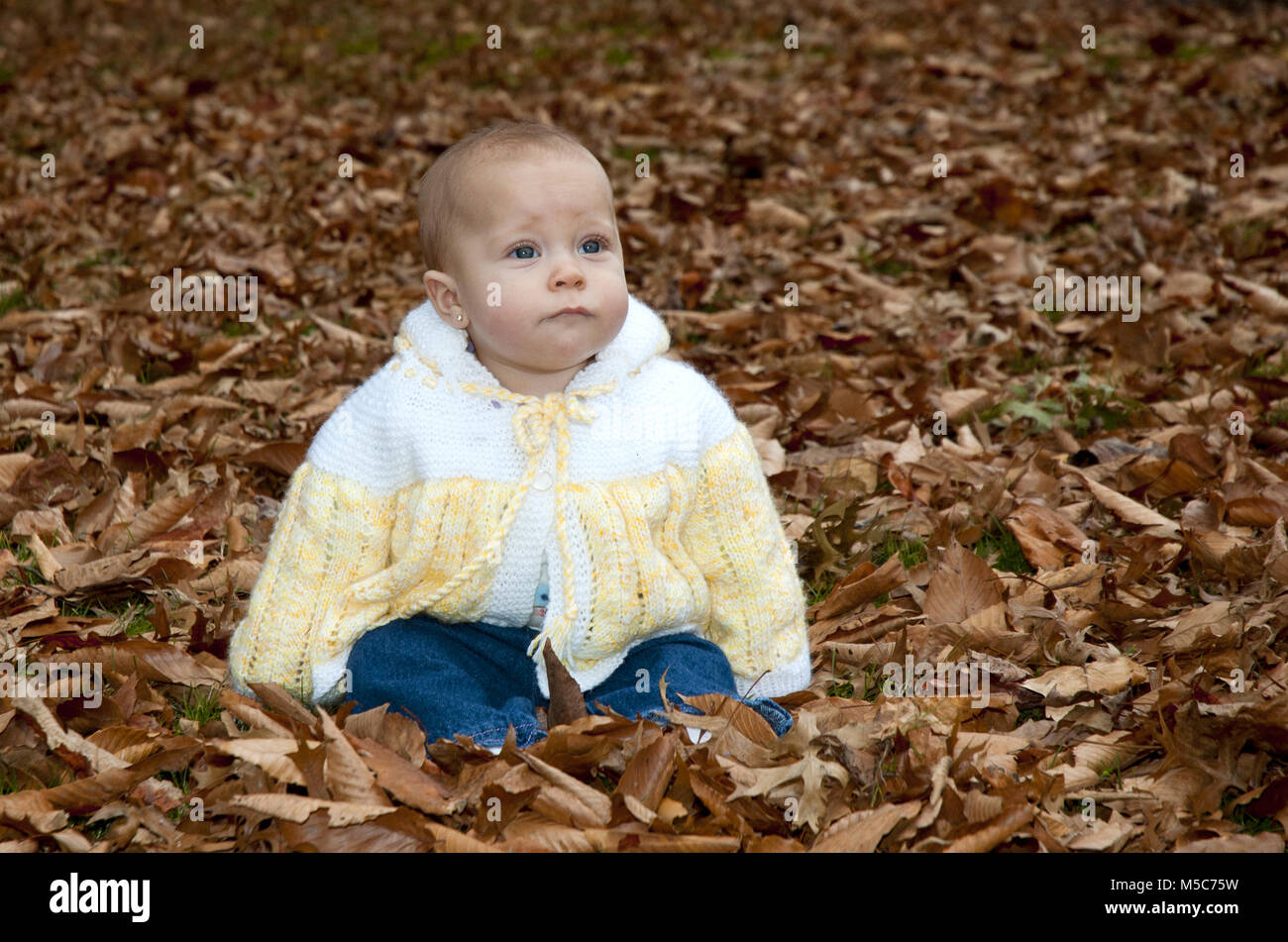 Beau Bebe Fille Assise Dans Les Feuilles Au Cours D Une Jolie Saison D Automne Photo Stock Alamy