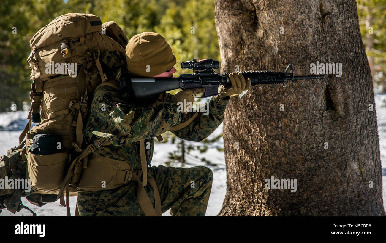 Circuit du Corps des Marines des États-Unis. James D. DOSS II, une basse altitude la défense aérienne (LAAD) gunner avec Alpha Batterie, 2e Bataillon LAAD, fournit la sécurité pendant une patrouille au cours de l'exercice d'entraînement en montagne (MTX) 1-18 sur Marine Corps Mountain Warfare Training Center Bridgeport, Californie le 28 janvier 2018. 2ème LAAD est participé au MTX pour augmenter la capacité de l'unité pour répondre rapidement, se soutenir, et pour accomplir les missions dans un environnement froid et montagneux. (U.S. Marine Corps Banque D'Images