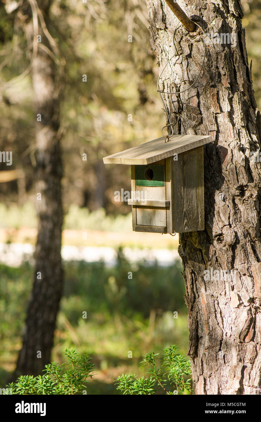 Oiseaux en bois nichoir, nichoir, suspendu dans l'arbre au printemps en forêt. Banque D'Images