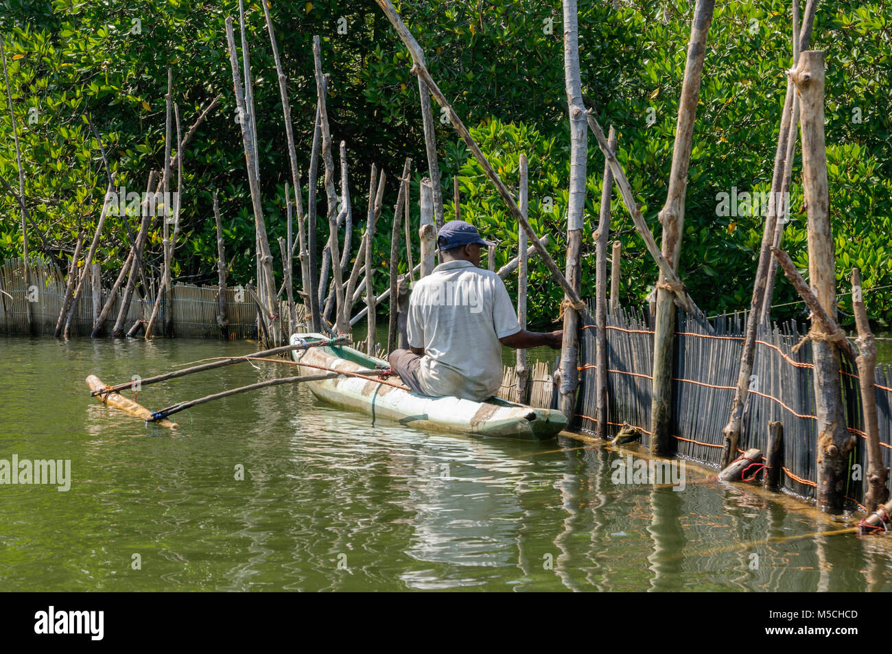 Un pêcheur dans une pirogue sur la rivière Madu Ganga, Balapitiya, district de Galle, Province du Sud, Sri Lanka, en Asie du Sud Banque D'Images