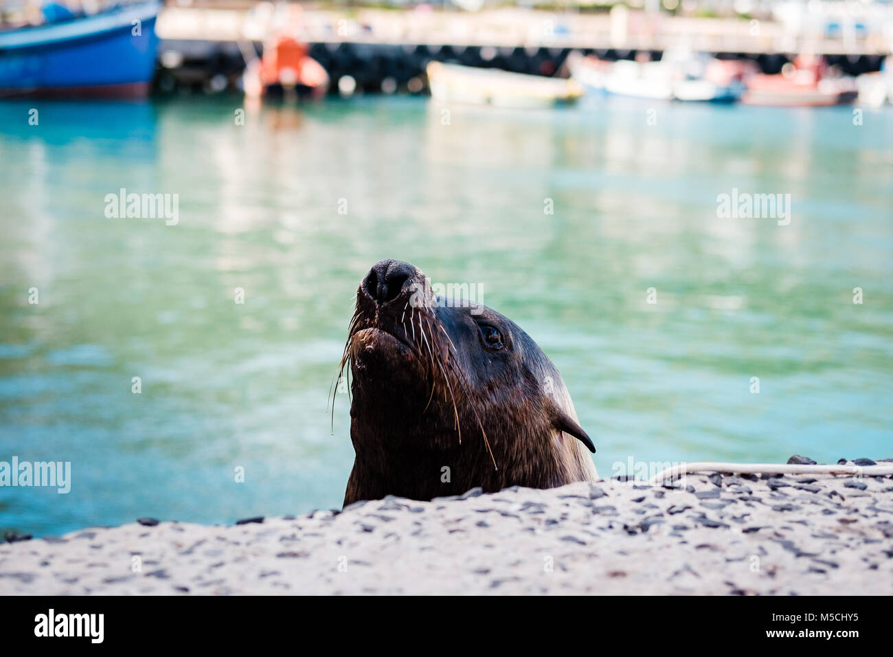 Joint à l'Harbour Banque D'Images