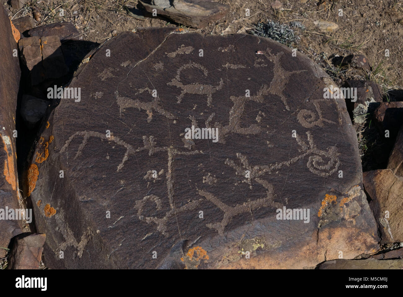 Pierres de cerfs et des pétroglyphes d'Asie centrale Banque D'Images