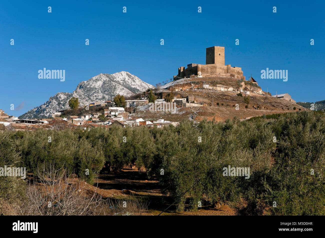 Paysage de neige, château et oliveraie, Martos, Jaen province, région d'Andalousie, Espagne, Europe Banque D'Images