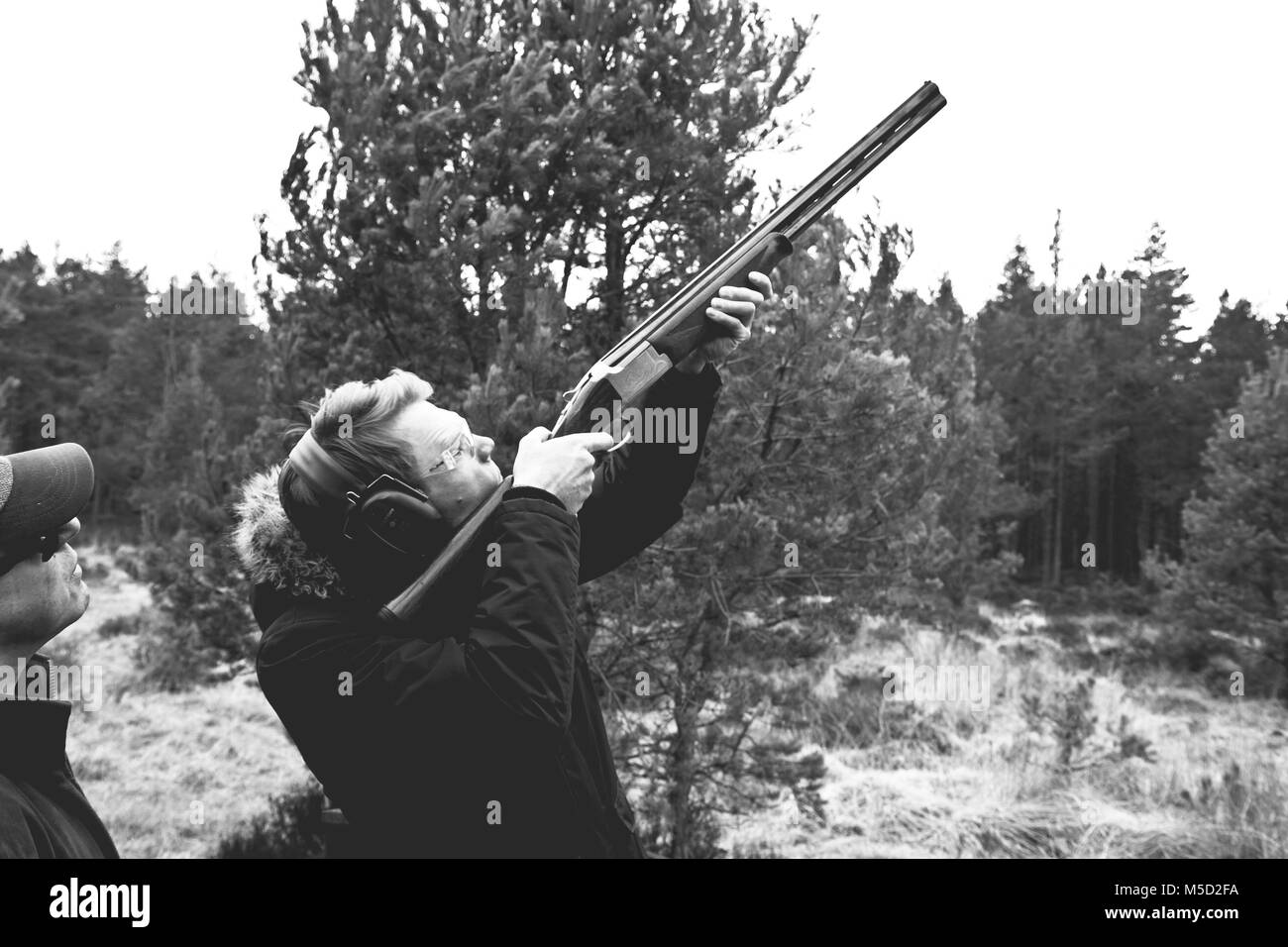 Le tir au pigeon d'argile dans une forêt (avec un coup de pistolet) sur une journée ensoleillée à Aviemore, Écosse, Grande-Bretagne. Banque D'Images