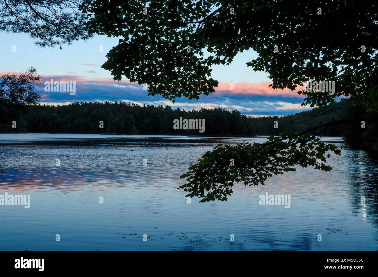 Coucher du soleil sur l'étang ,Rock Forest Preserve Adirondack, New York Banque D'Images