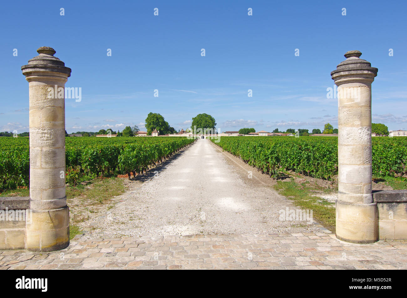 Bienvenue à un célèbre domaine viticole du vin de Bordeaux Banque D'Images