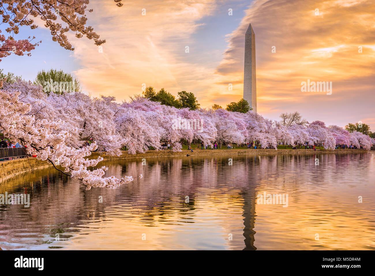 Washington DC, USA dans la saison du printemps. Banque D'Images