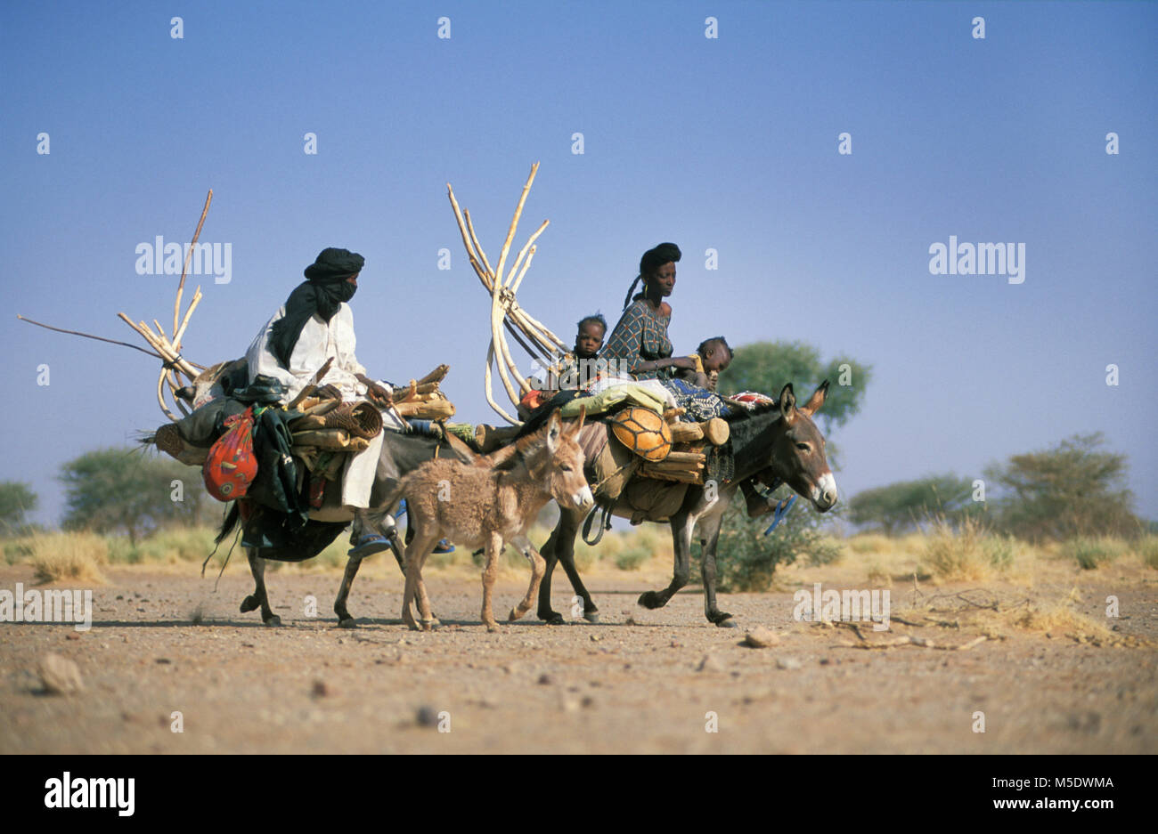 Le Niger. D'Agadez. Désert du Sahara. Sahel. Les gens de Wodaabes tribu. Également appelé Peul, bororo, Fulani. Les éleveurs de bétail. Les nomades. Banque D'Images