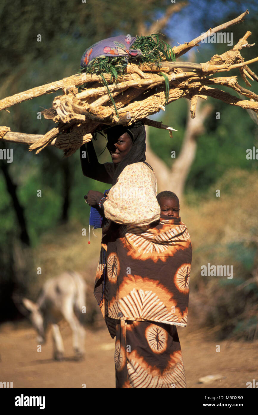 Au Niger, près d'Agadez Iferouane. Désert du Sahara. Les montagnes de l'air. Sahel. Tribu touareg. Les nomades. Femme avec bébé le transport de bois de feu. Banque D'Images