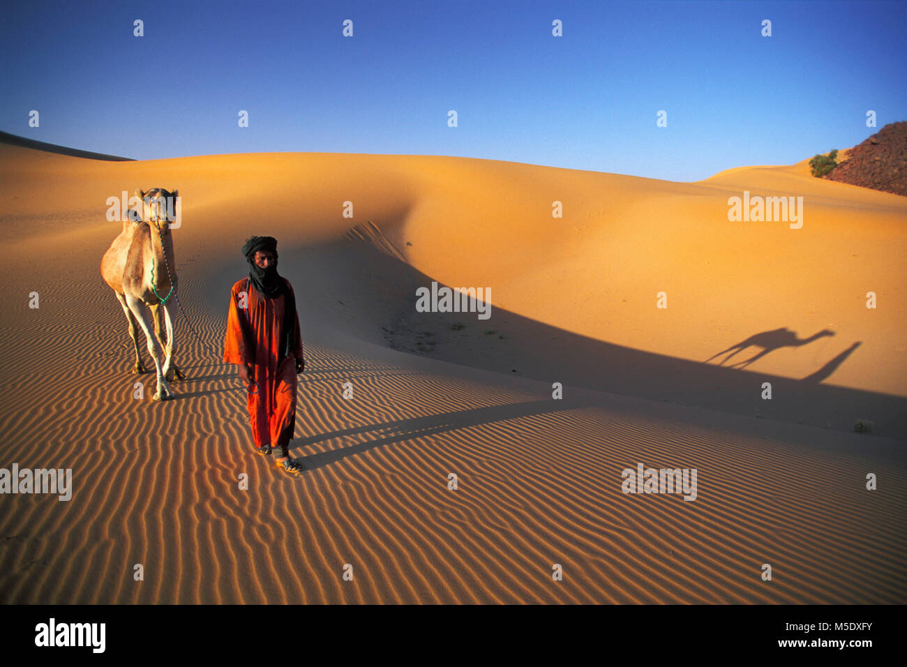Le Niger, Tazarzait. Désert du Sahara. Les montagnes de l'air. Sahel. Désert du Ténéré. Tribu touareg. Les nomades. Homme avec chameau. L'Unesco, site du patrimoine mondial. Banque D'Images