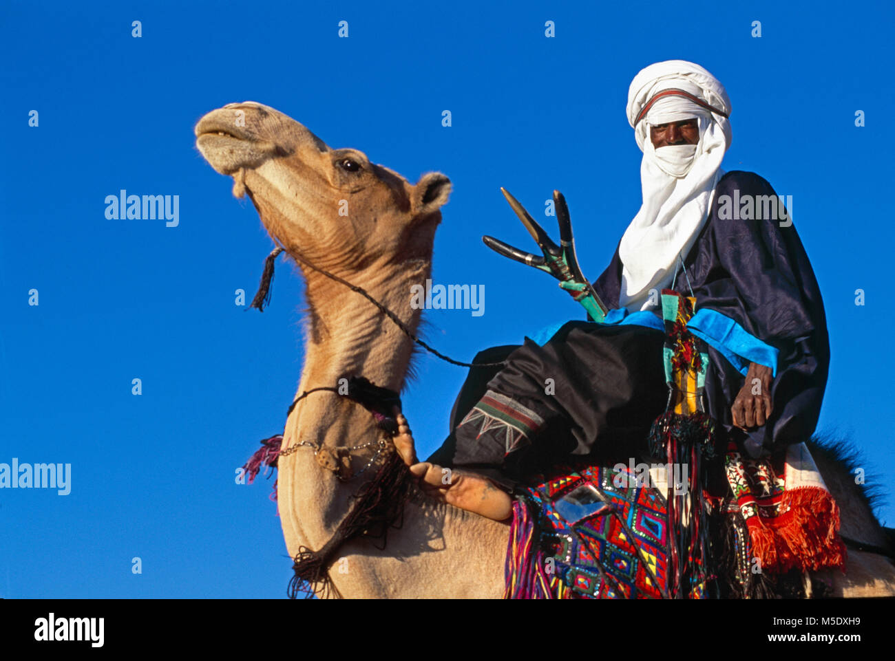 Le Niger. D'Agadez. Désert du Sahara. Sahel. Désert du Ténéré. Tribu touareg. Les nomades. Homme avec chameau. Banque D'Images