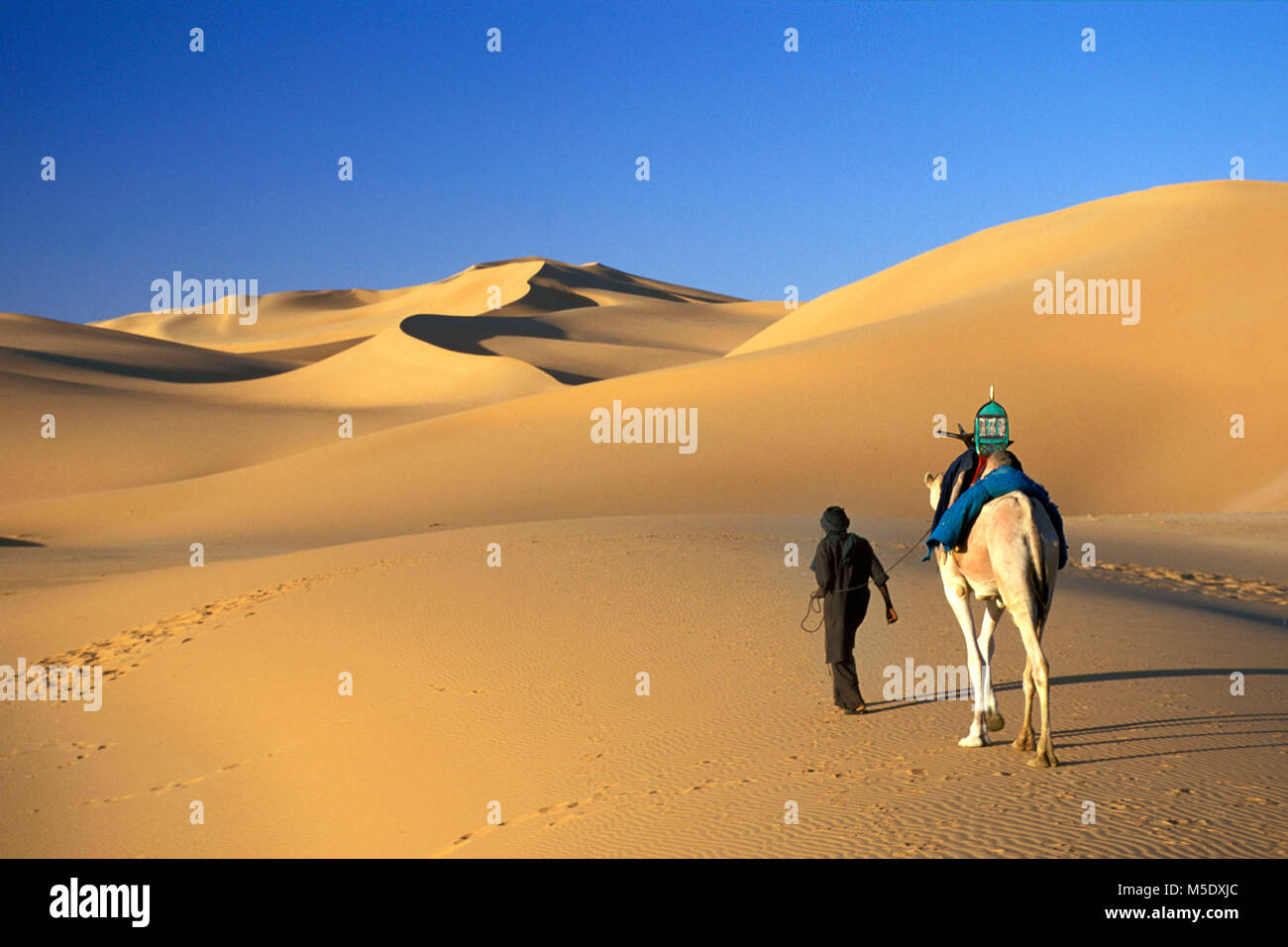 Le Niger. D'Agadez. Désert du Sahara. Sahel. Désert du Ténéré. Tribu touareg. Les nomades. L'homme et de chameau. Les dunes de sable. L'Unesco, site du patrimoine mondial. Banque D'Images