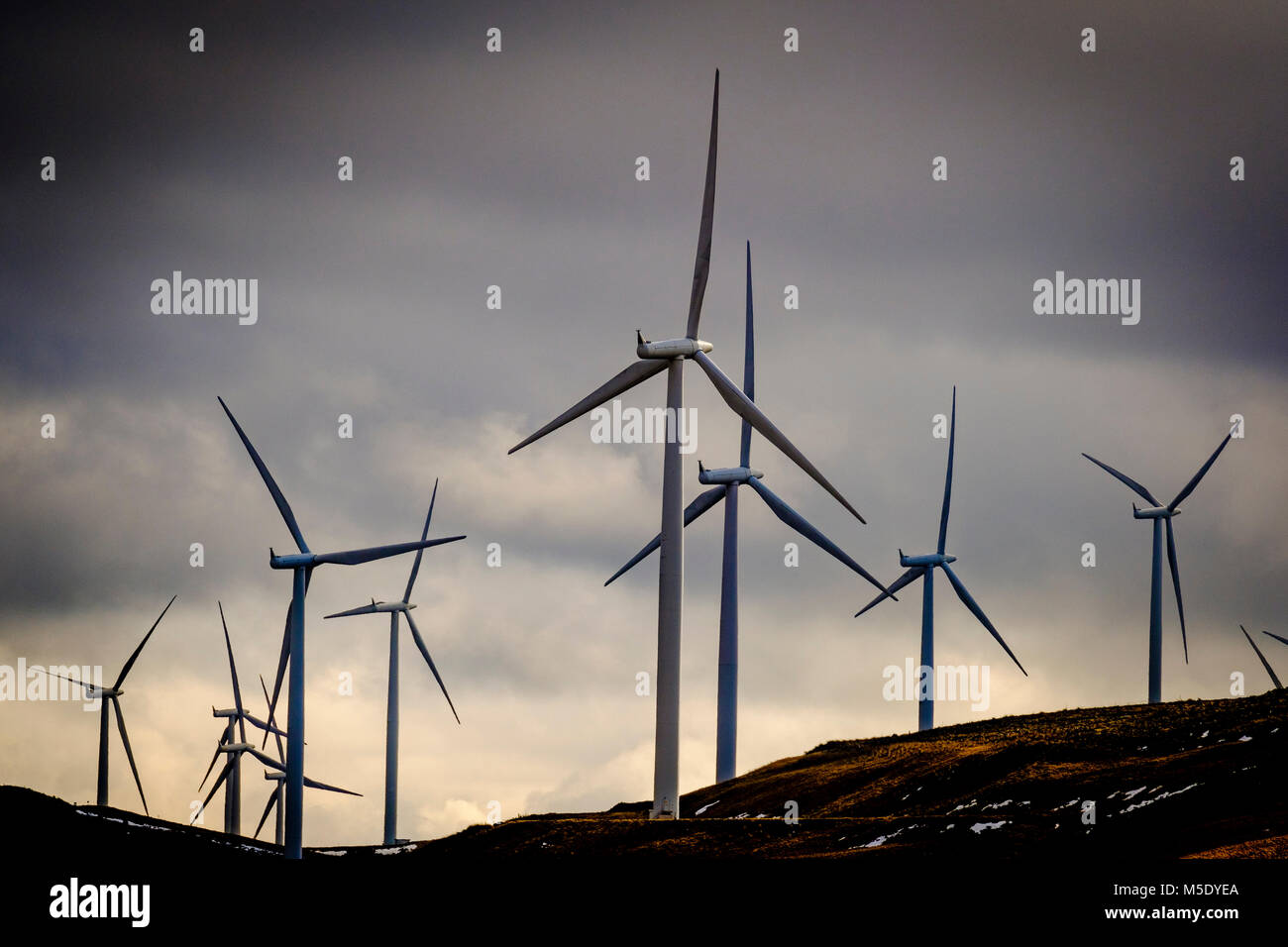 Éoliennes sur le Clyde Wind Farm - un 350 mégawatts (MW) d'éoliennes près de Abington dans South Lanarkshire, en Écosse. Banque D'Images