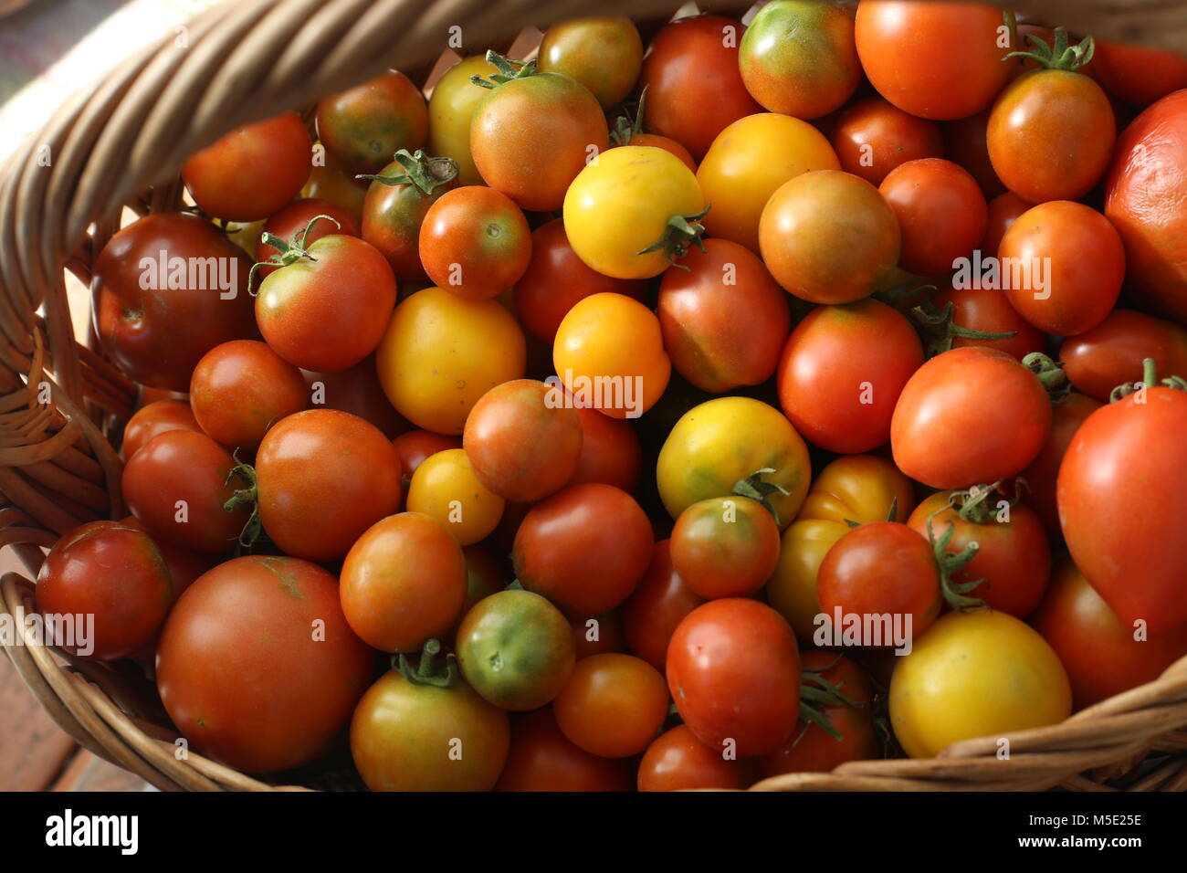 La couleur, le marché coloré, vert, tomates, panier, l'été, rouge, jaune, texture, matières, naturelles et d'ingrédients, légumes, nature, végétarien, frais Banque D'Images