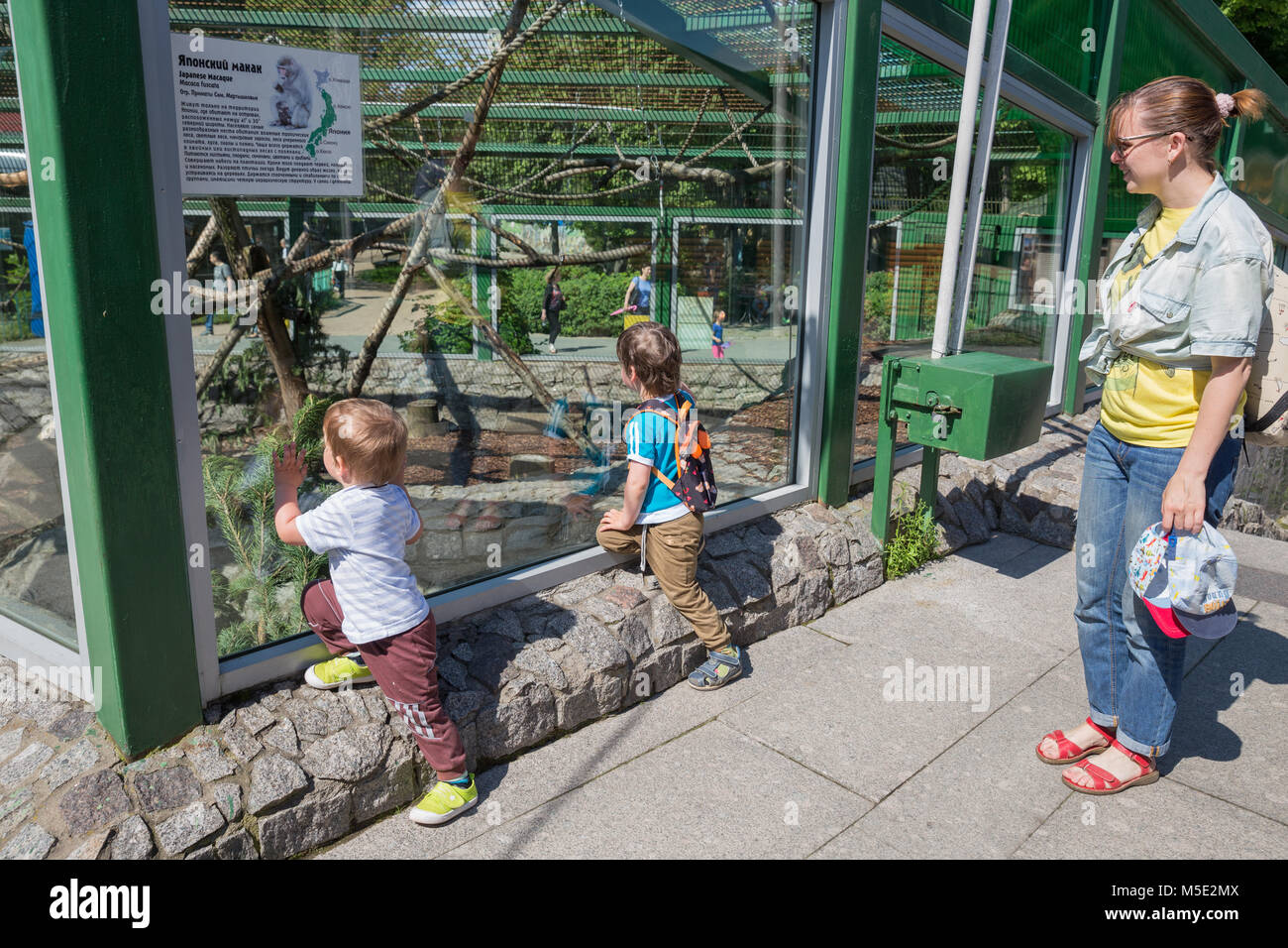 SAINT PETERSBURG, Russie - le 26 juillet 2017 : Maman avec des enfants dans le zoo près de la volière avec des singes Banque D'Images