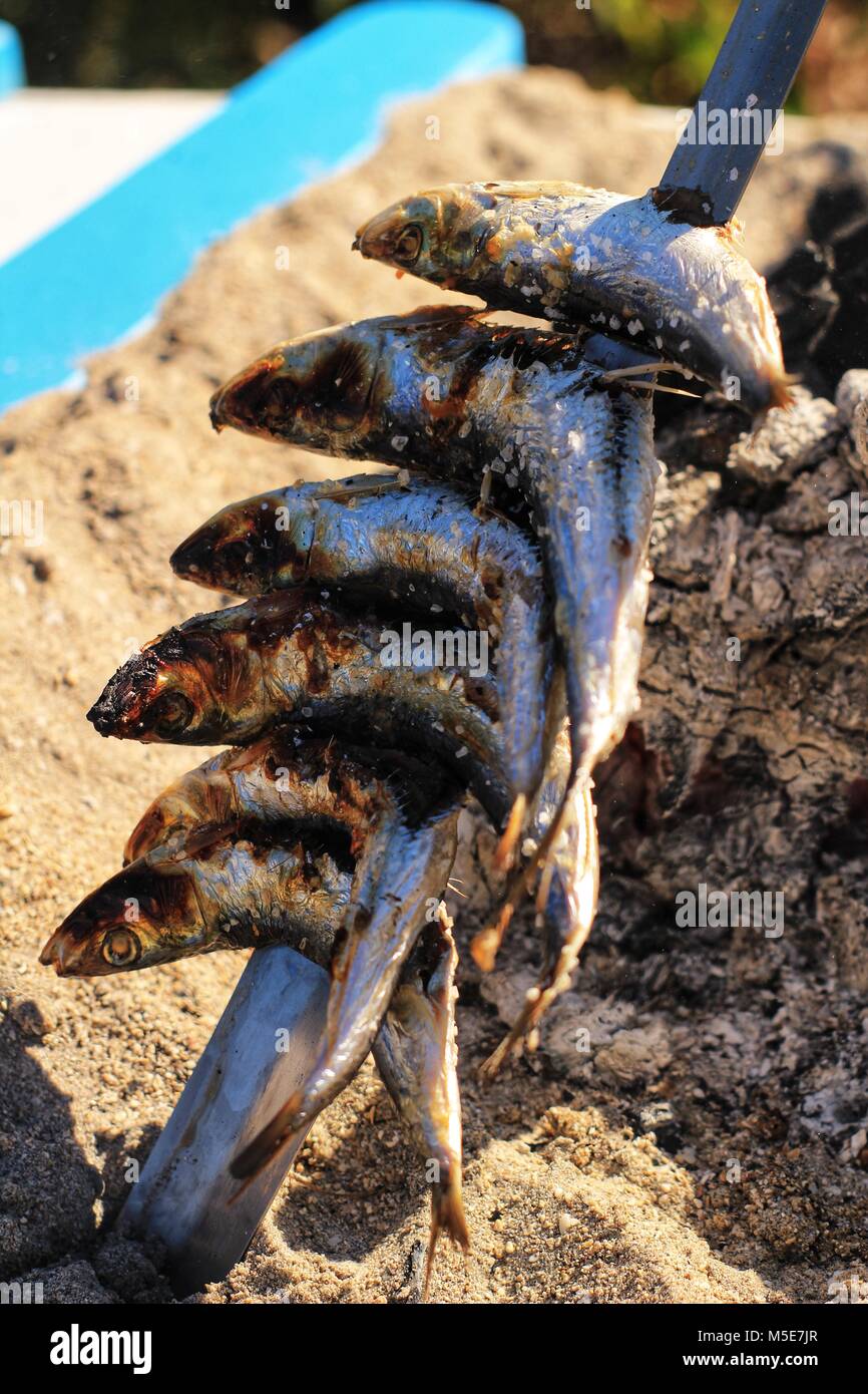 Sardines grillées à la broche dans le sud de l'Espagne Banque D'Images