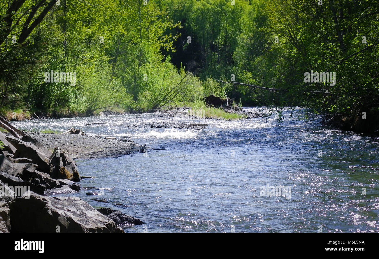 Déménagement lente rivière qui descend des montagnes Banque D'Images