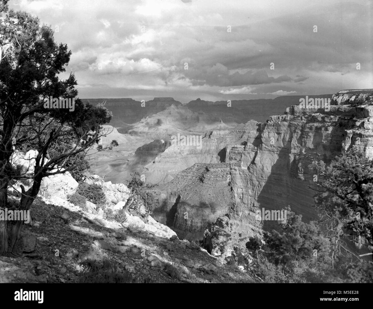 Grand Canyon Point à l'EST DE Powell POWELL MONUMENT À VISHNU TEMPLE WOTANS TRÔNE, désert, et palissades. Avril 1955. Banque D'Images