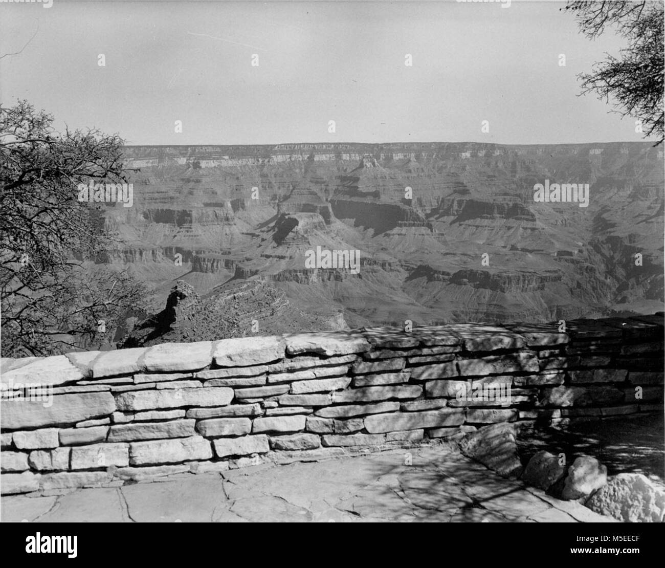 Grand Canyon Village POINTS DE VUE GÉNÉRALE DU CANYON PRIS DE TERRASSE EN FACE DE Bright Angel Lodge MARECH 21, 1961. C'EST VUE UTILISÉE POUR LA CONCEPTION DE L'ÉQUIPE POUR LE    PIONNIER, LE QUOTIDIEN POUR LA MISSION 66 FRONTIÈRES CONFÉRENCE. Banque D'Images