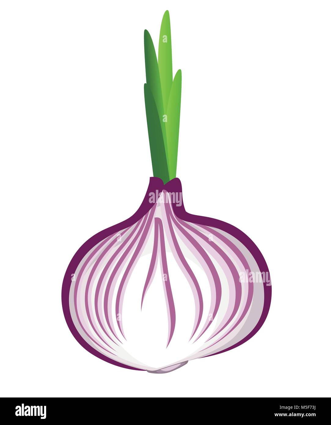 Oignon rouge frais aux pousses de légumes du jardin bio vector illustration isolé sur fond blanc page de site web et mobile app le desi Illustration de Vecteur