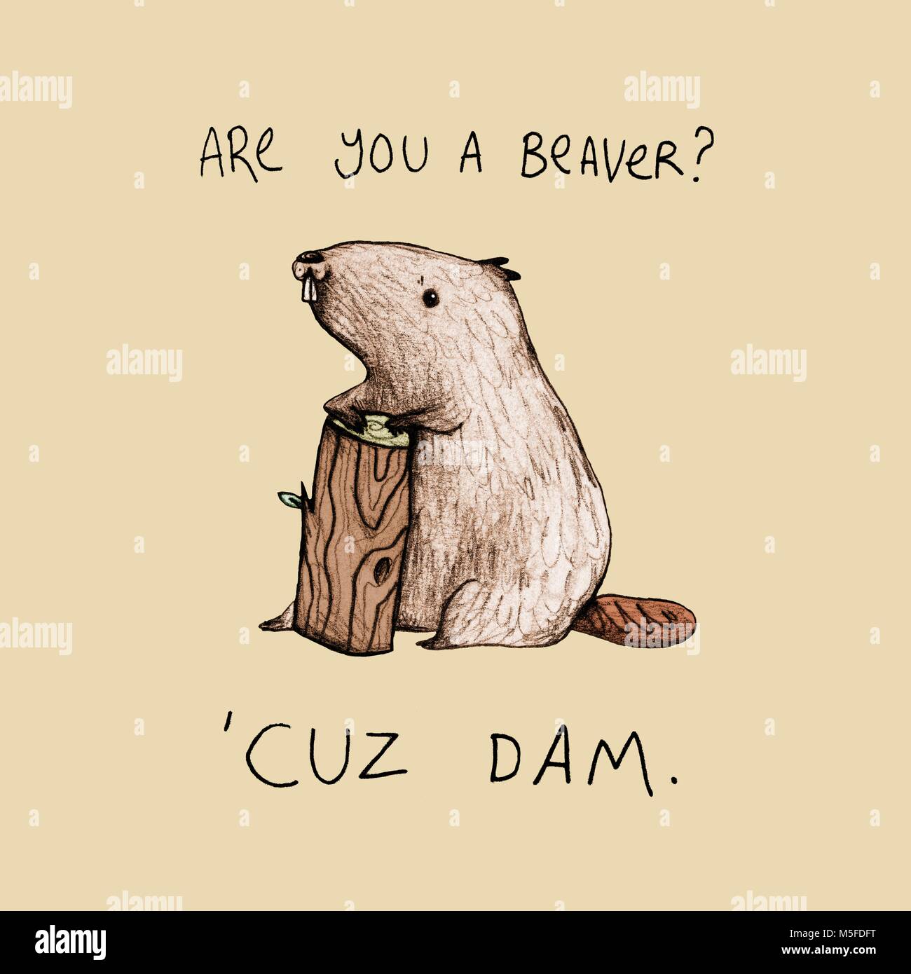Êtes-vous une illustration originale de Beaver Banque D'Images