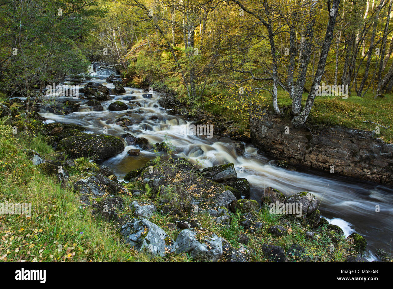 L'eau en cascade et la couleur en automne dans Glen Affric, Highland, Scotland, UK Banque D'Images