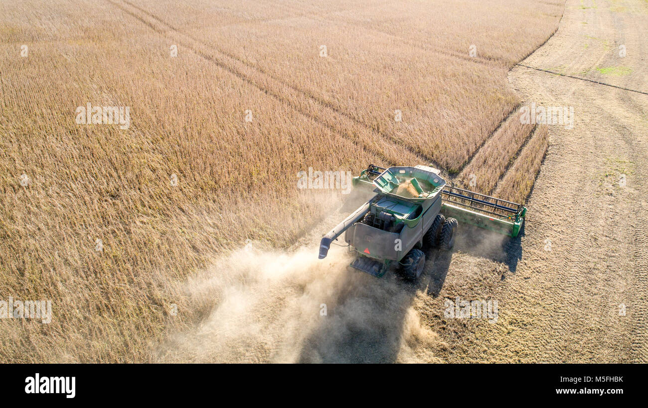 Vue aérienne de la moissonneuse-batteuse, conduisant par rangées de soja et des coups de pied jusqu'à la poussière, au Maryland Banque D'Images