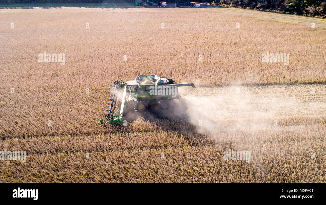 Vue aérienne de la moissonneuse-batteuse, conduisant par rangées de soja et des coups de pied jusqu'à la poussière, au Maryland Banque D'Images