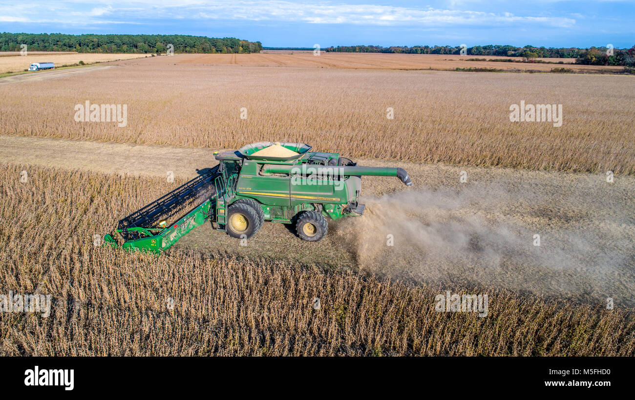 Vue aérienne de la moissonneuse-batteuse, conduisant par rangées de soja et des coups de pied jusqu'à la poussière, au Maryland Banque D'Images