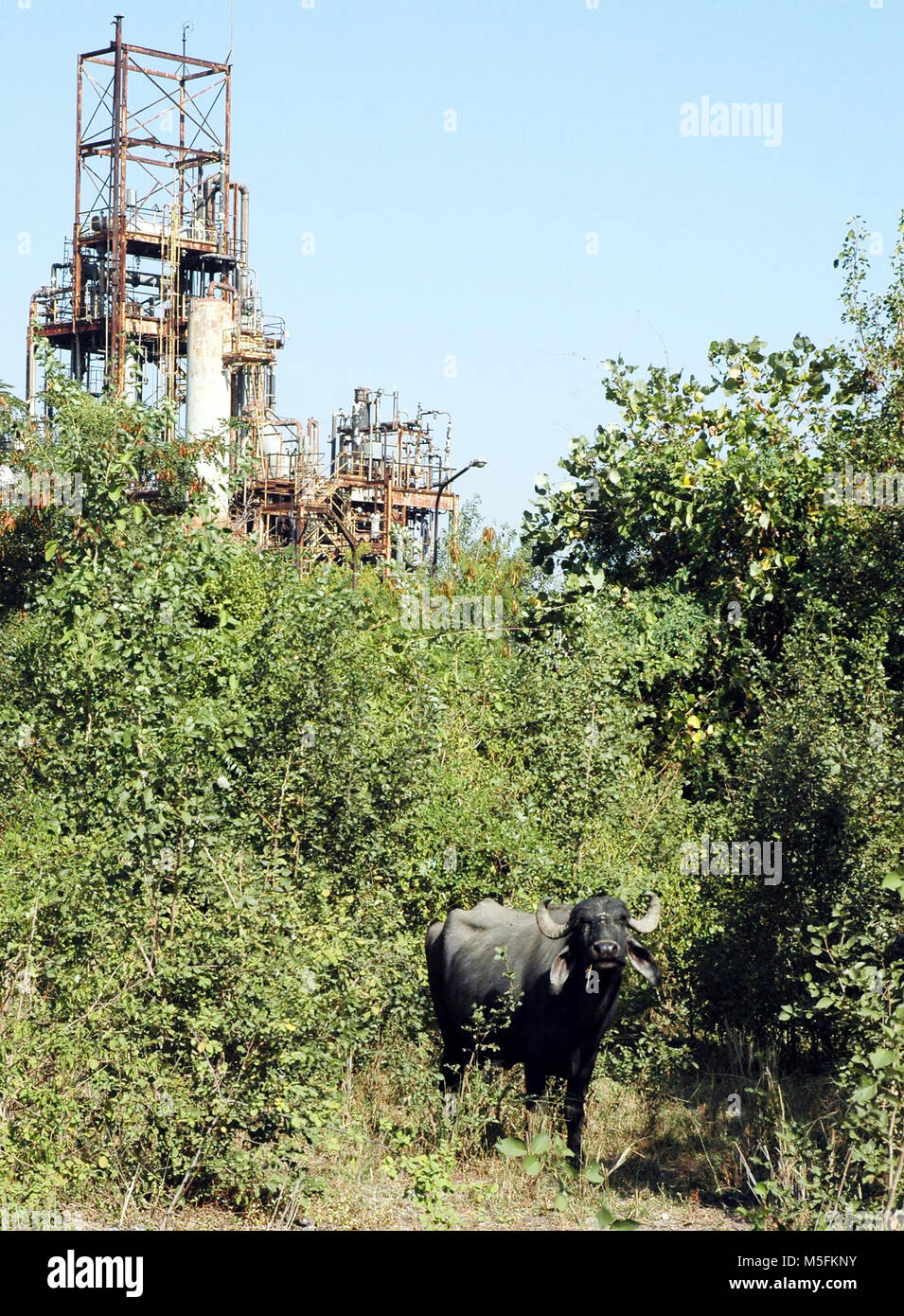 Usine de produits chimiques, Bhopal, Madhya Pradesh, Inde, Asie Banque D'Images