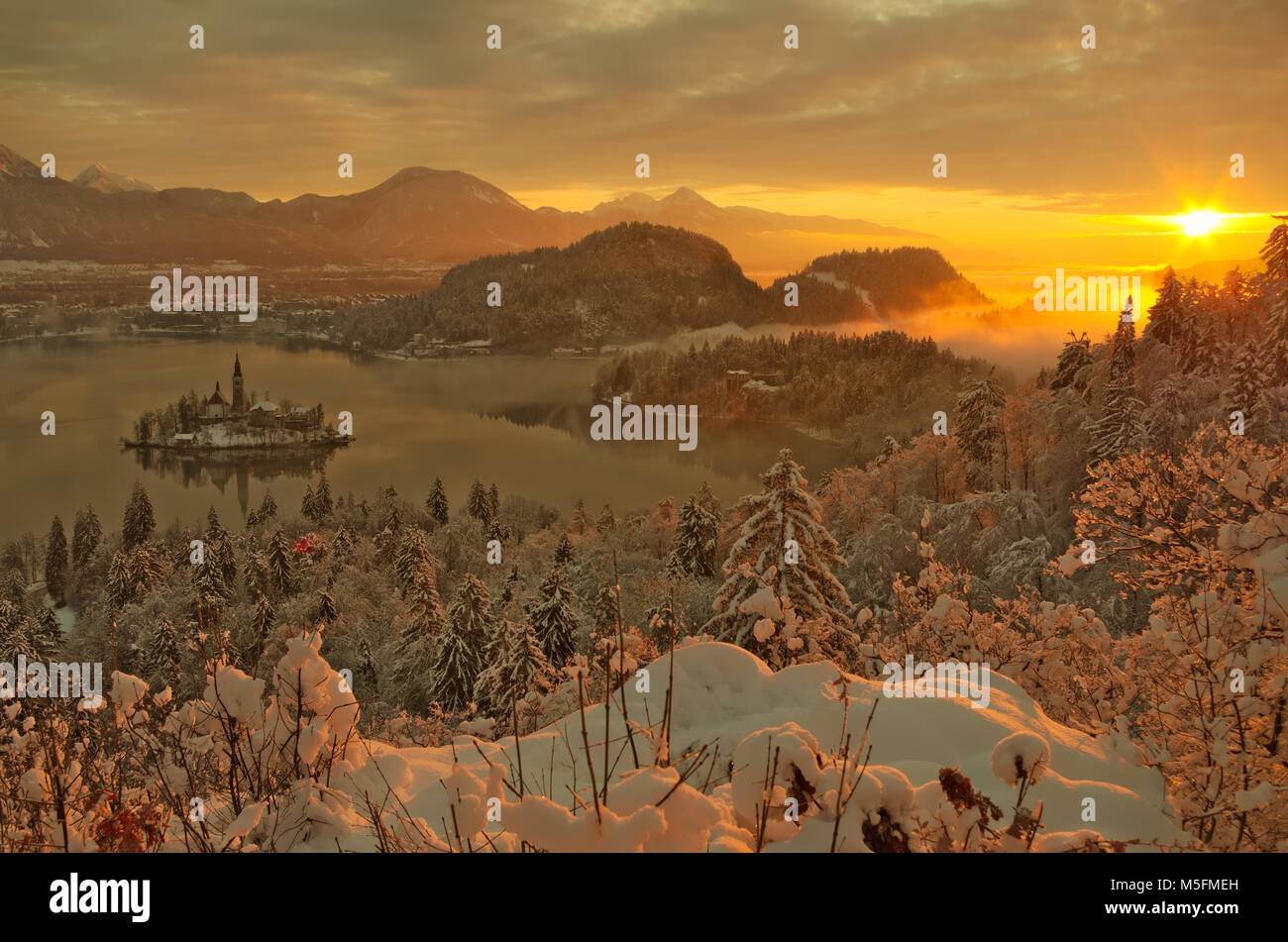 Au lever du soleil d'hiver le lac de Bled avec la neige sur les arbres Banque D'Images